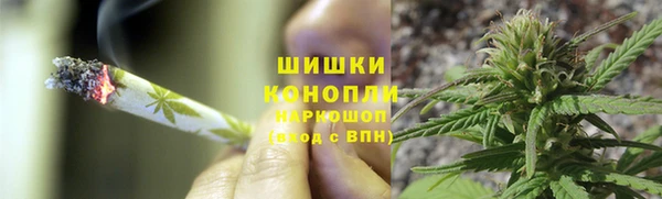эйфоретик Карпинск