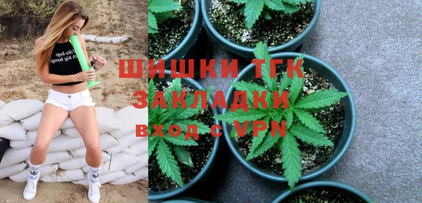 эйфоретик Карпинск