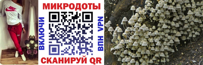 Псилоцибиновые грибы MAGIC MUSHROOMS  Купить  Балашиха 