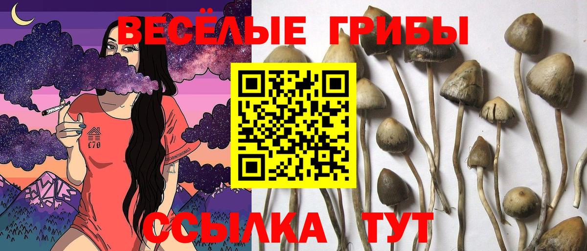 Псилоцибиновые грибы мухоморы  Псилоцибиновые грибы Magic Shrooms  Вход с VPN  наркота  Балашиха 