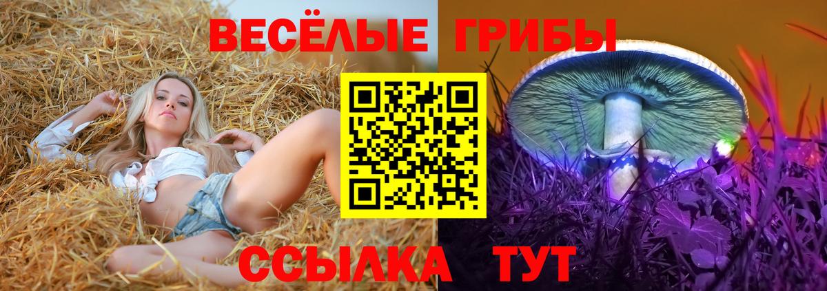 Псилоцибиновые грибы Psilocybine cubensis  Балашиха 