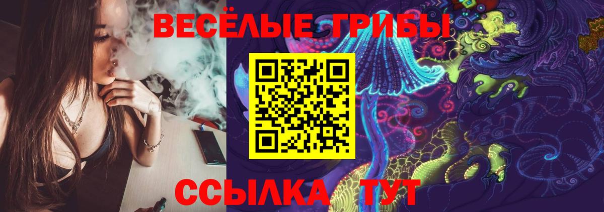 Псилоцибиновые грибы ЛСД Балашиха